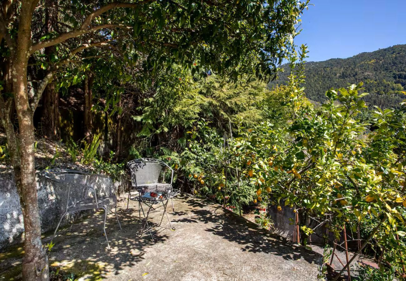Casa rural em Gerês - Gerês Mountain Lake Views by Gerês Casas