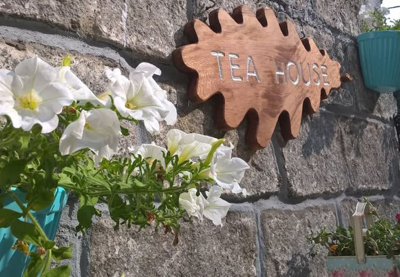 Casa rural em Gerês - Tea House Gerês Hipericão