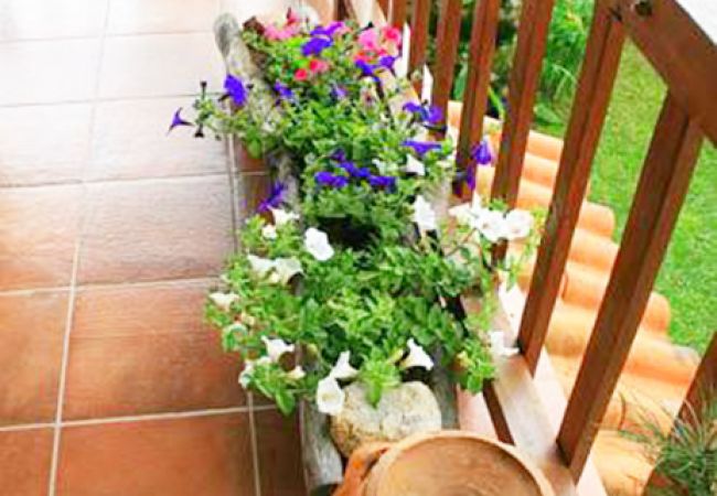 Cottage in Amares - Casa da Rocha Cottage in Amares - Casa da Rocha