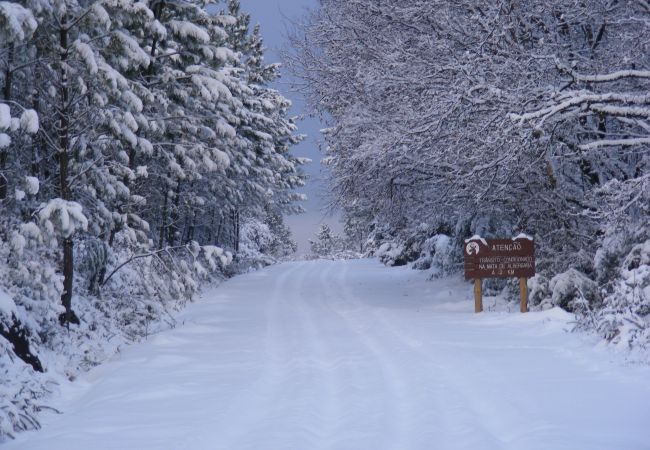 House in Campo do Gerês - Casa Montanha Gerês II House in Campo do Gerês - Casa Montanha Gerês II