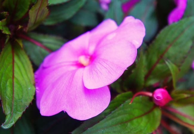 House in Gerês - Casa da Igreja Gerês House in Gerês - Casa da Igreja Gerês