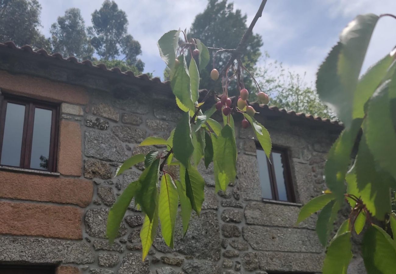 Cottage in Terras de Bouro - Casa das Cerejeiras