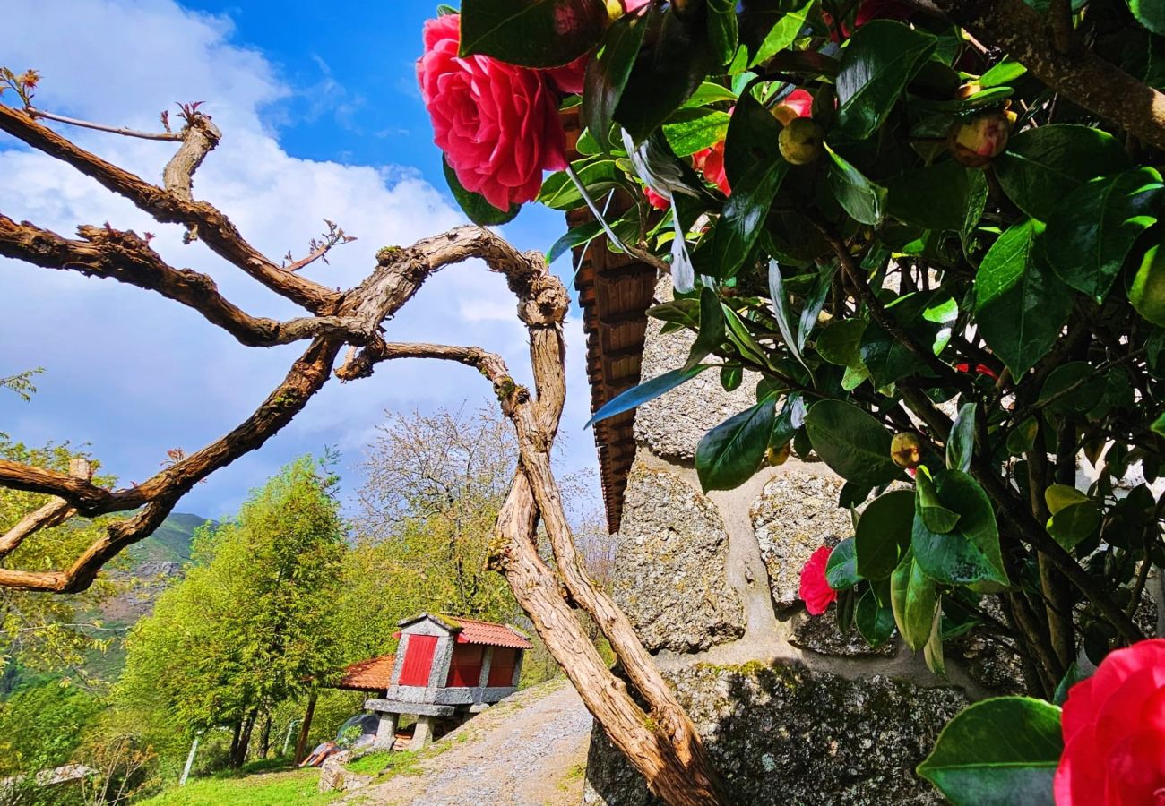 Cottage in Terras de Bouro - Casa das Cerejeiras