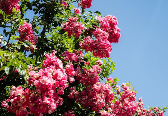 House in Campo do Gerês - Casa Montanha Gerês House in Campo do Gerês - Casa Montanha Gerês