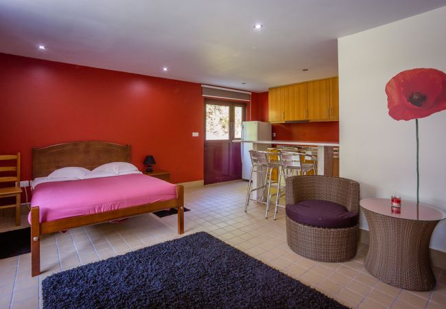 Studio in Gerês - Estúdio do Abrigo do Hotel Quinta do Rio Gerês Studio in Gerês - Estúdio do Abrigo do Hotel Quinta do Rio Gerês