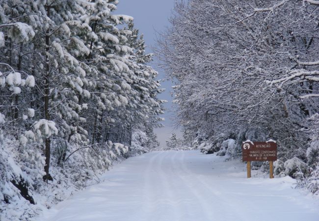Bungalow in Campo do Gerês - Bungalows Serra do Geres Bungalow in Campo do Gerês - Bungalows Serra do Geres