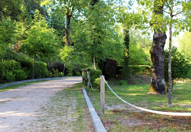 Bungalow in Campo do Gerês - Bungalows Azevinho Serra do Gerês Bungalow in Campo do Gerês - Bungalows Azevinho Serra do Gerês