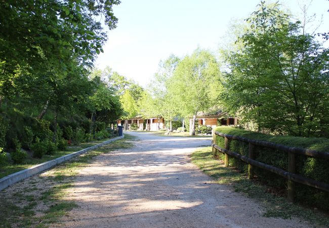 Bungalow in Campo do Gerês - Bungalows Azevinho Serra do Gerês Bungalow in Campo do Gerês - Bungalows Azevinho Serra do Gerês
