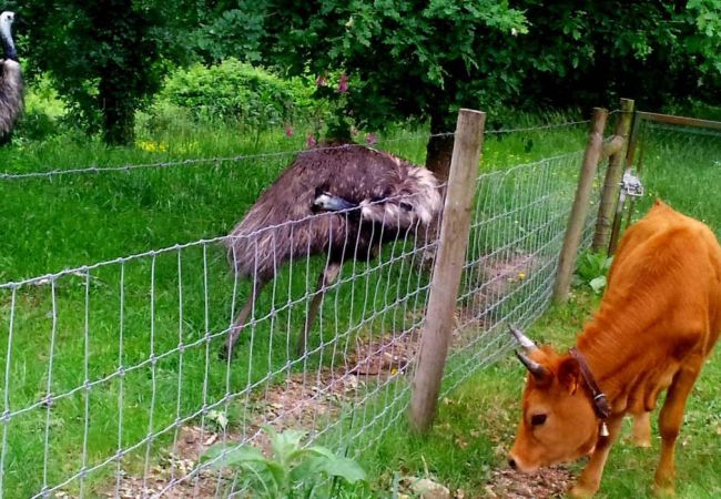 Cottage in Arcos de Valdevez - Casa Grande T4 - Quinta do Toural Cottage in Arcos de Valdevez - Casa Grande T4 - Quinta do Toural