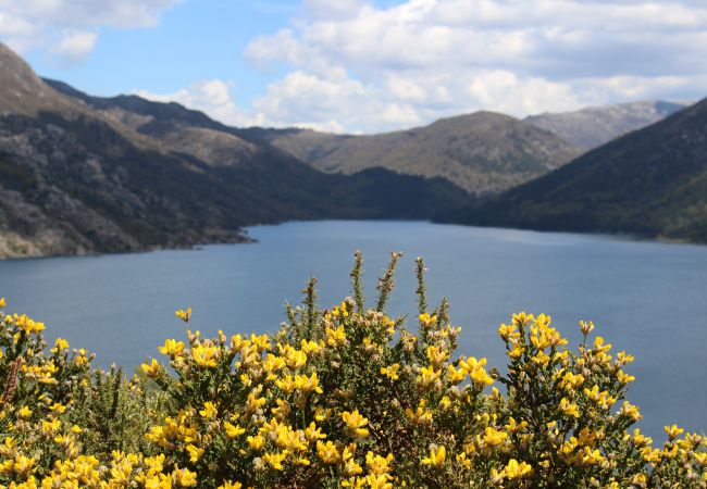 Cottage in Campo do Gerês - Casa João Vilar I Cottage in Campo do Gerês - Casa João Vilar I