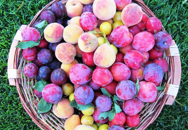 Rent by room in Amares - Quarto Duplo Quinta Vale do Homem Rent by room in Amares - Quarto Duplo Quinta Vale do Homem