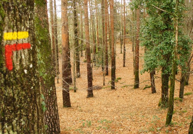 Cottage in Gerês - Casa da Ermida T1 - Casa do Criado Cottage in Gerês - Casa da Ermida T1 - Casa do Criado