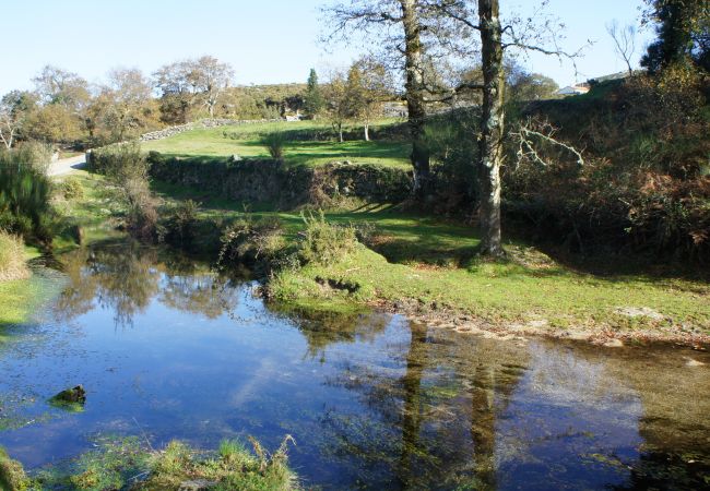 Cottage in Gerês - Casa Campos Cottage in Gerês - Casa Campos