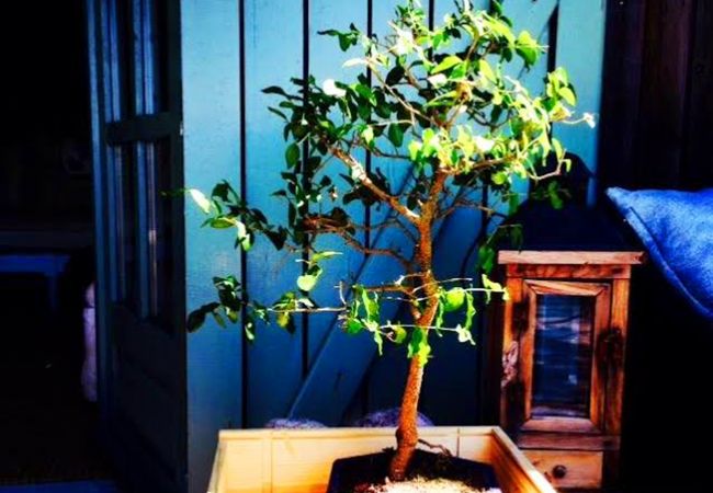 Cottage in Vieira do Minho - Country House Gerês Cottage in Vieira do Minho - Country House Gerês