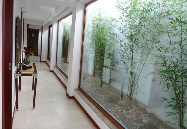 House in Vieira do Minho - Quinta de Jaco - Casa Rio House in Vieira do Minho - Quinta de Jaco - Casa Rio