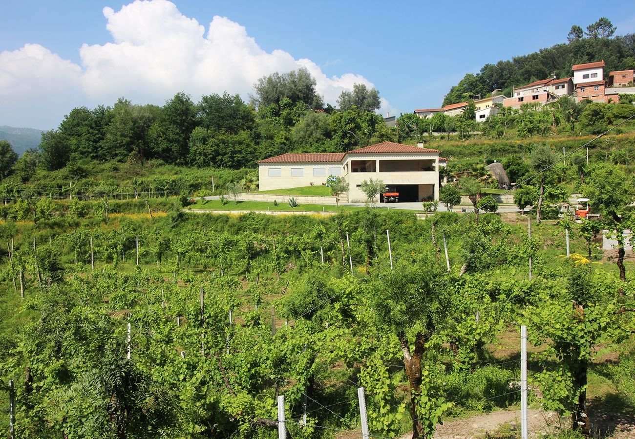 House in Terras de Bouro - Casa da Quinta - Quinta da Portela