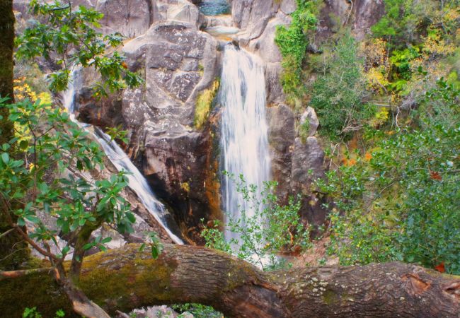 Bungalow in Gerês - T1 Jardim Casa Baranda Bungalow in Gerês - T1 Jardim Casa Baranda