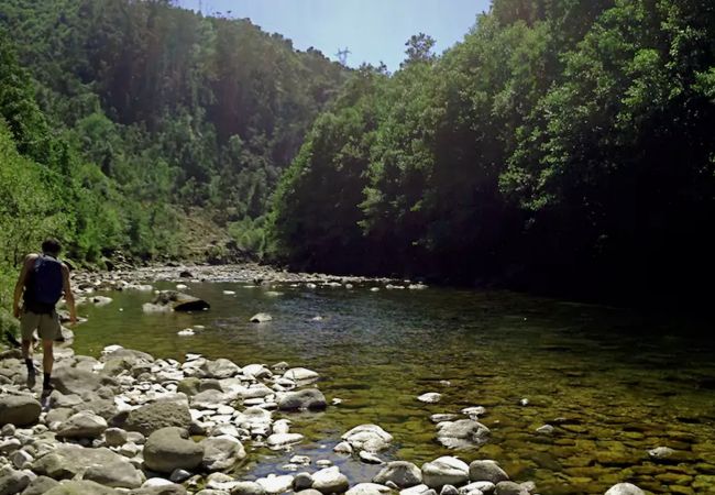 Bungalow in Arcos de Valdevez - Casa da Cerejeira - Casas de Além Ecoturismo Bungalow in Arcos de Valdevez - Casa da Cerejeira - Casas de Além Ecoturismo