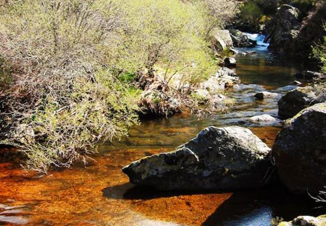 Bungalow in Montalegre - Yurt da Mongólia - Nomad Planet Bungalow in Montalegre - Yurt da Mongólia - Nomad Planet