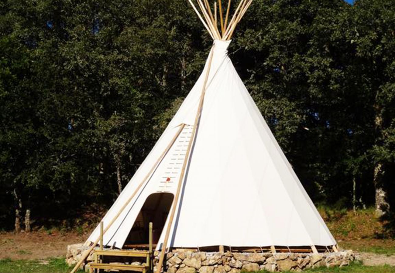 Bungalow in Montalegre - Yurt da Mongólia - Nomad Planet