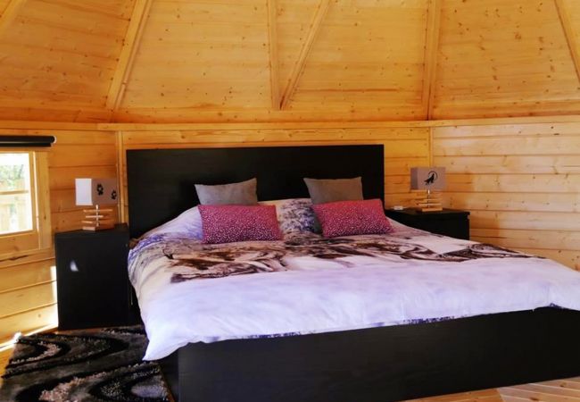 Bungalow in Montalegre - Bungalow Casa na Árvore - Nomad Planet Bungalow in Montalegre - Bungalow Casa na Árvore - Nomad Planet