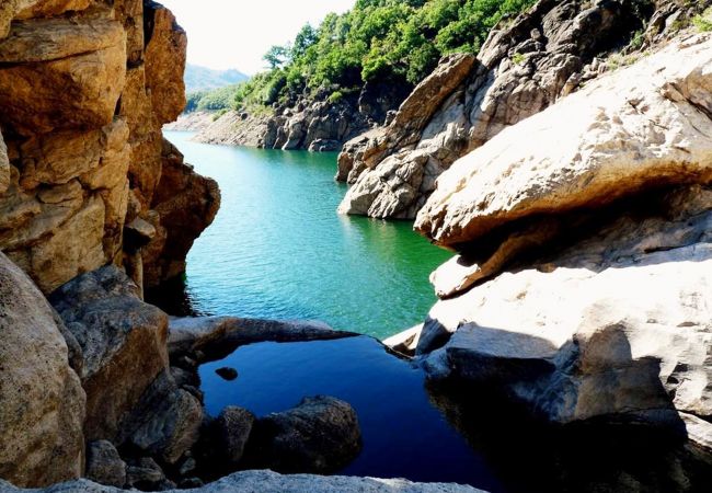 Bungalow in Montalegre - Bungalow Casa na Árvore - Nomad Planet Bungalow in Montalegre - Bungalow Casa na Árvore - Nomad Planet