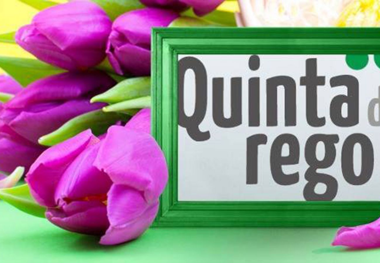 Rent by room in Póvoa de Lanhoso - Quarto Superior com Hidromassagem - DM Turismo Rur