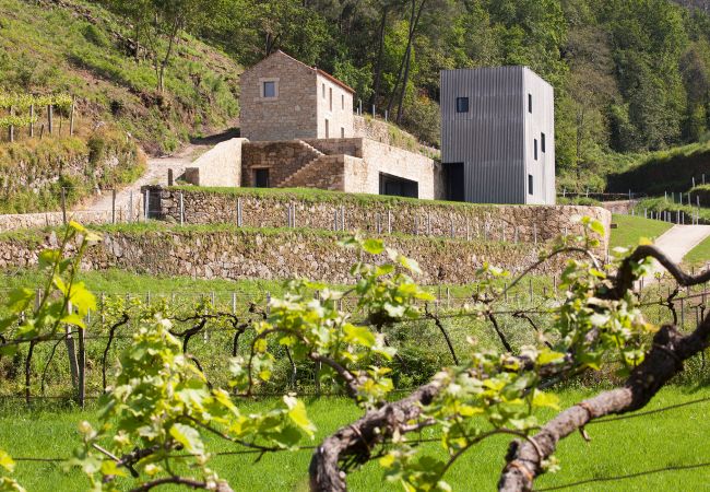  in Melgaço - Melgaço Alvarinho Houses T5