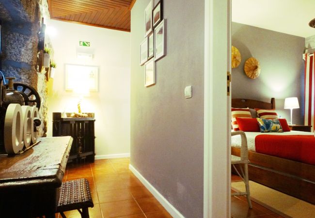 House in Vieira do Minho - Casa da Nogueira - Quinta Cercas da Costa House in Vieira do Minho - Casa da Nogueira - Quinta Cercas da Costa