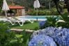 Villa in Gerês - Casa Martagão do Gerês Villa in Gerês - Casa Martagão do Gerês