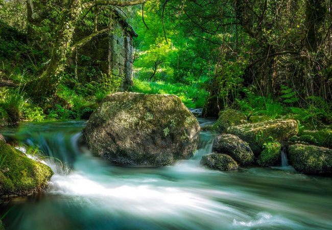 Cottage in Vila Verde - Casa da Nóbrega Cottage in Vila Verde - Casa da Nóbrega