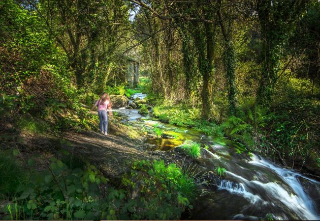 Cottage in Vila Verde - Casa da Nóbrega Cottage in Vila Verde - Casa da Nóbrega