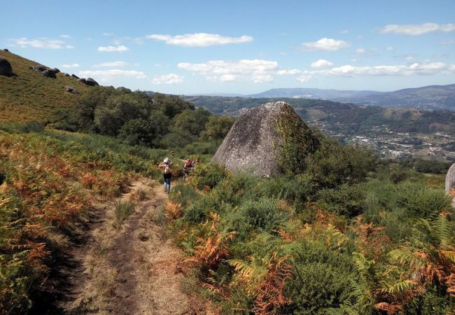 Cottage in Vila Verde - Casa da Nóbrega Cottage in Vila Verde - Casa da Nóbrega