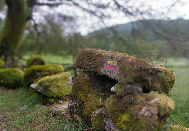 Cottage in Vila Verde - Casa da Nóbrega Cottage in Vila Verde - Casa da Nóbrega