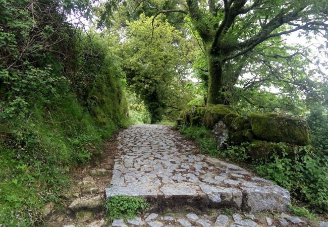 Cottage in Vila Verde - Casa da Nóbrega Cottage in Vila Verde - Casa da Nóbrega