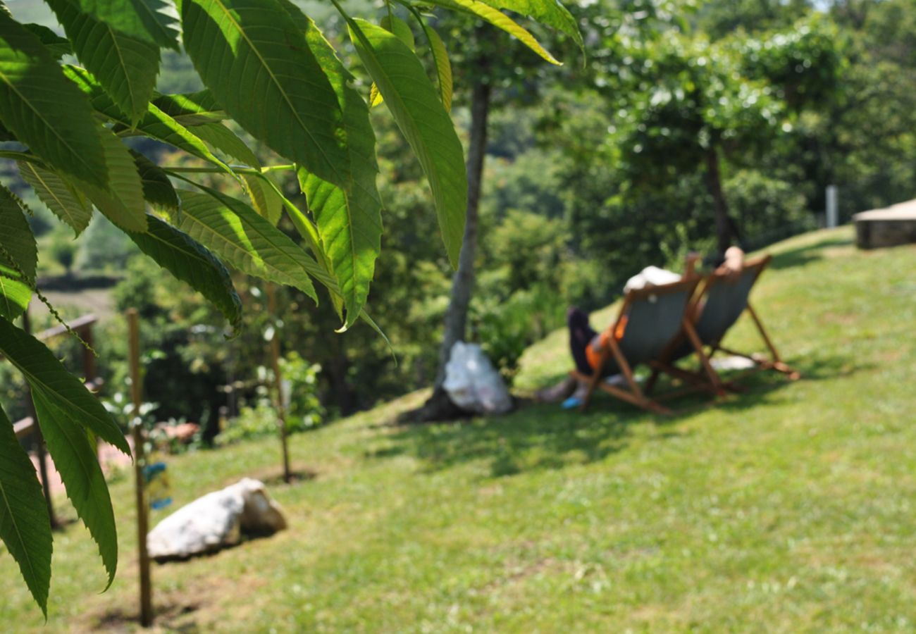 Cottage in Vila Verde - Casa da Nóbrega