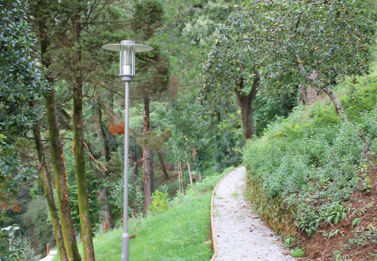 Rent by room in Montalegre - Quarto Duplo - Hotel Rural Misarela