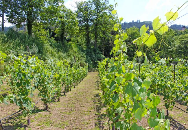 Cottage in Terras de Bouro - Casa Roupar Cottage in Terras de Bouro - Casa Roupar