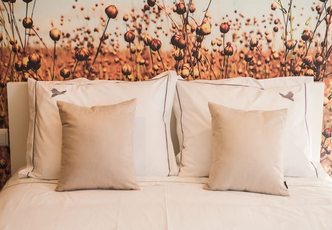 House in Vieira do Minho - Casa de Formiga - Pousadela Village House in Vieira do Minho - Casa de Formiga - Pousadela Village