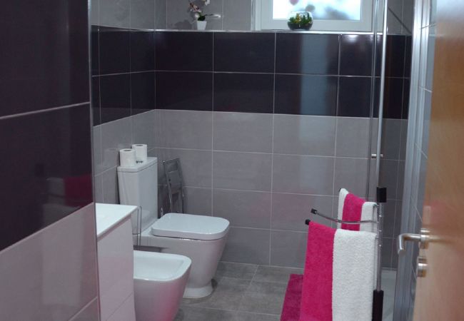 House in Monção - Quinta D'Arroteia House in Monção - Quinta D'Arroteia