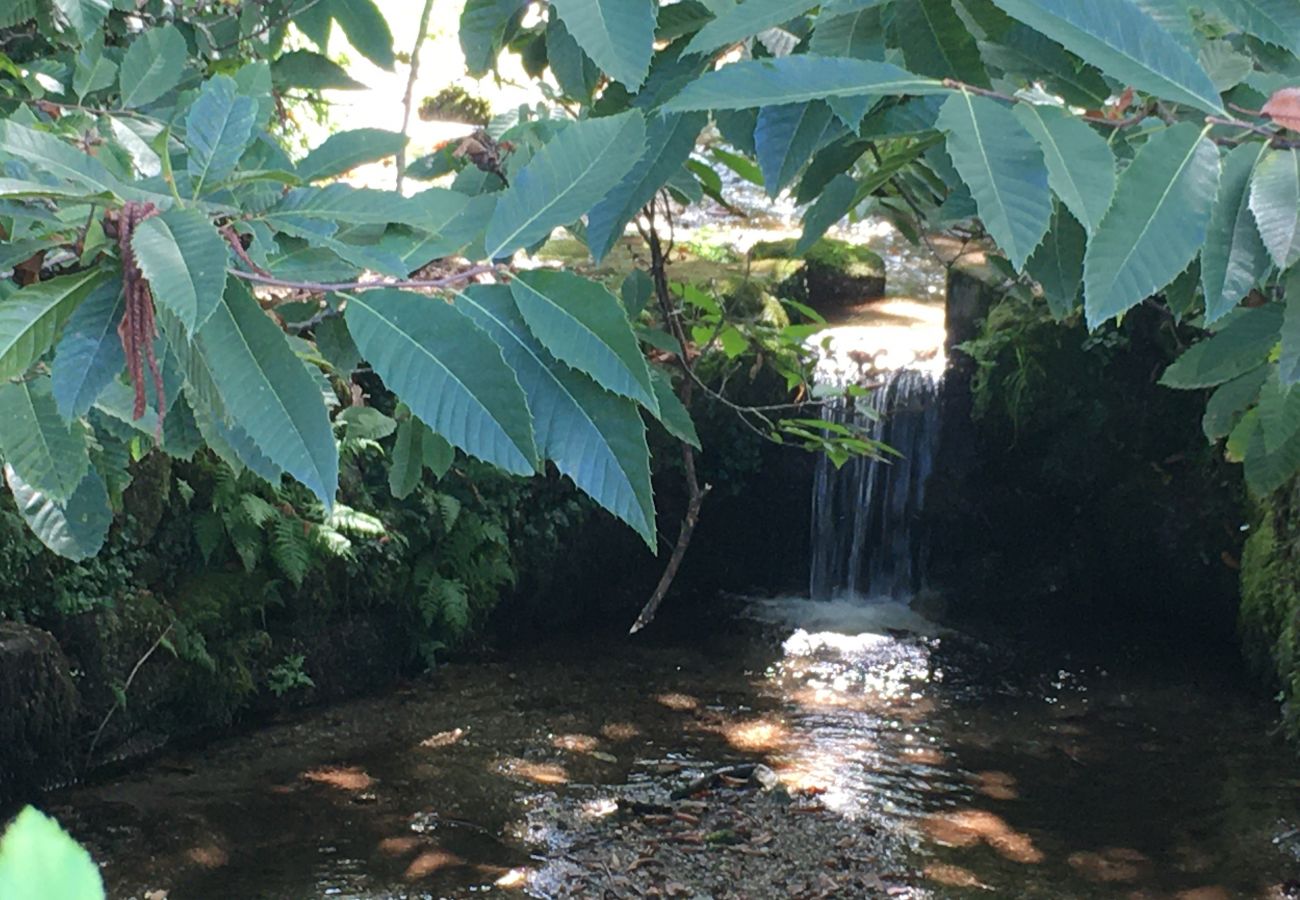 Rent by room in Vieira do Minho - Quarto Twin Superior - Quinta de Barbêdo