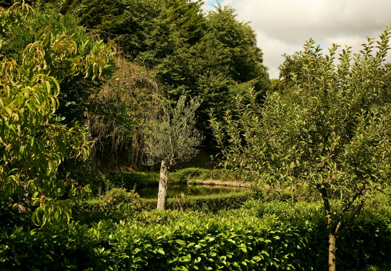 Rent by room in Vieira do Minho - Quarto Twin Superior - Quinta de Barbêdo