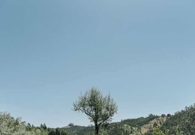 House in Vieira do Minho - Vieiras Guest House House in Vieira do Minho - Vieiras Guest House