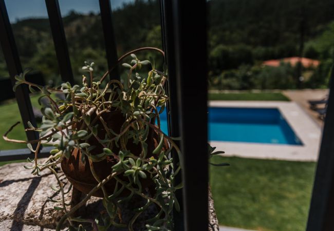 House in Vieira do Minho - Vieiras Guest House House in Vieira do Minho - Vieiras Guest House