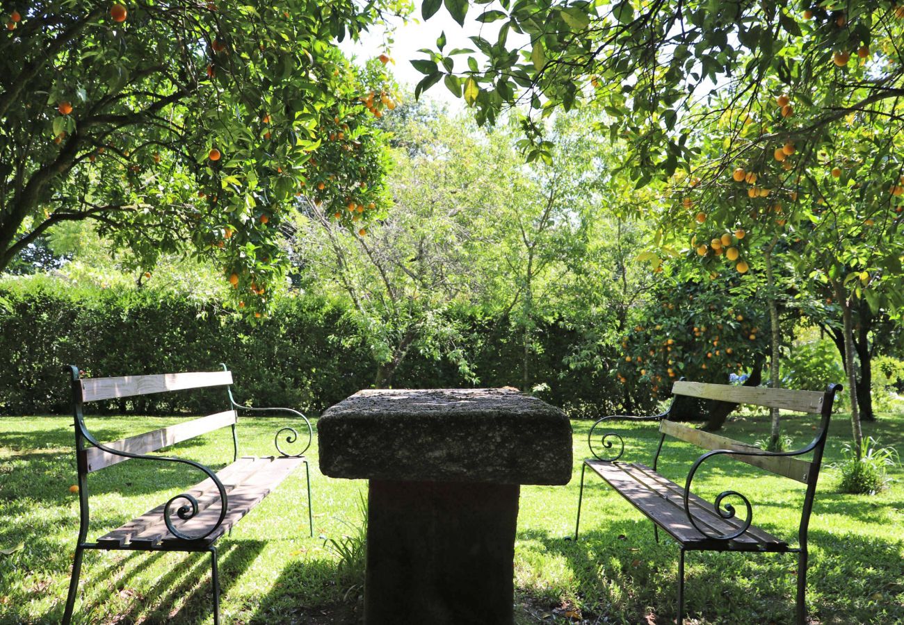 Farm stay in Arcos de Valdevez - Casinha da Torre - Quinta da Breia