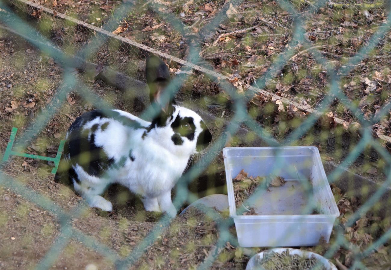 Farm stay in Arcos de Valdevez - Casinha da Torre - Quinta da Breia