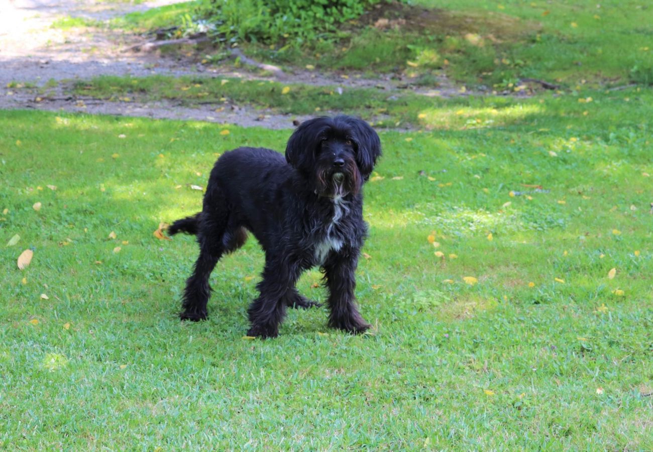 Farm stay in Arcos de Valdevez - Casinha da Torre - Quinta da Breia