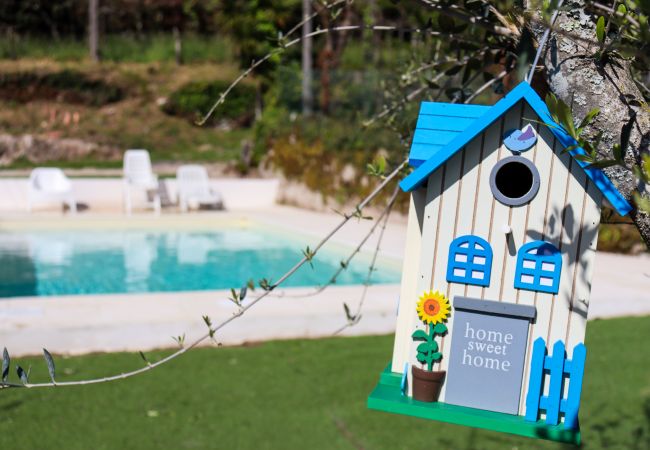 Farm stay in Vieira do Minho - Casa da Laranjeira Turismo Rural Farm stay in Vieira do Minho - Casa da Laranjeira Turismo Rural