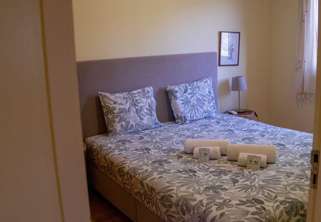 Villa in Vieira do Minho - Casa da Quintã