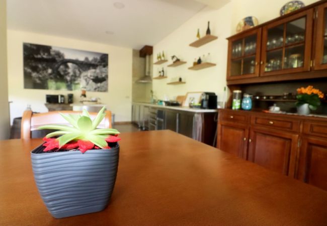 Rent by room in Campo do Gerês - Outeiro do Moinho - Quarto Rent by room in Campo do Gerês - Outeiro do Moinho - Quarto